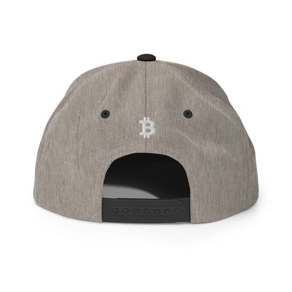 BitcoinDove Front w/B Snapback Hat